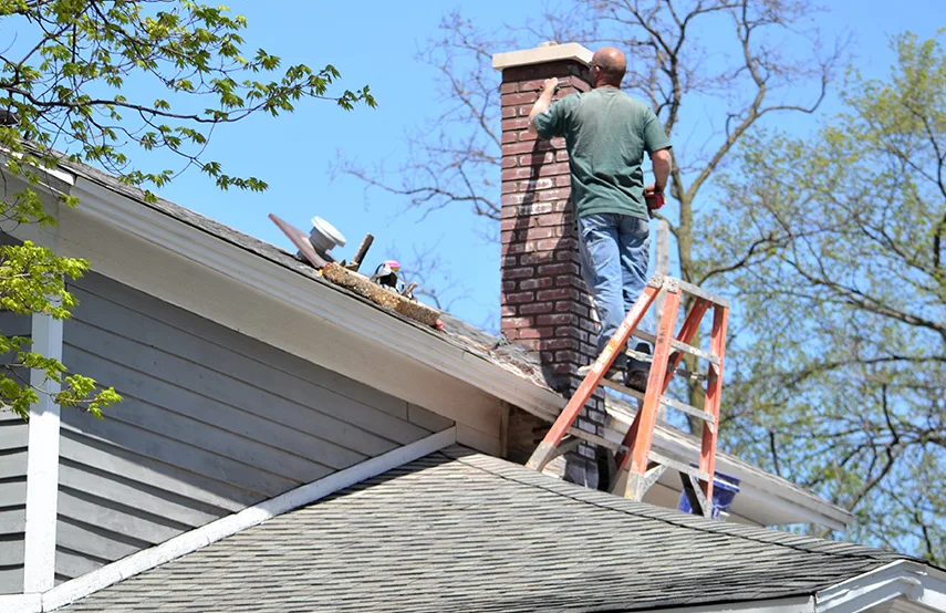 Chimney & Fireplace Inspections Services in Wailuku, HI